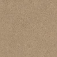 купить Rasch African Queen 2014 422696