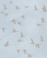 купить Rasch Kids & Teens 2 503357