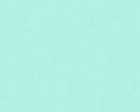 купить A.S.Creation X-Ray 34248-7