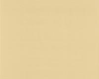 купить A.S.Creation Colour Courage 698971