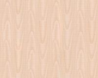 купить A.S.Creation Chateau 4 954373 купить A.S.Creation Chateau 4 954373