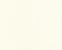 купить A.S.Creation Schoner Wohnen 2 151674