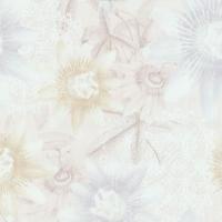 купить P+S International Fashion for Walls 2 02488-20 купить P+S International Fashion for Walls 2 02488-20