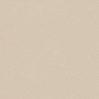 купить Rasch Cosmopolitan 576047