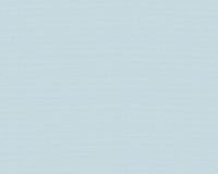 купить A.S.Creation Esprit 13 35755-2