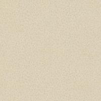 купить P+S International Spotlight 2 02523-50