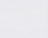 купить A.S.Creation Meistervlies 4 95679-1