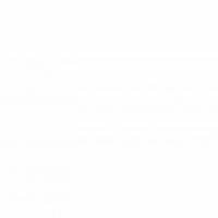 купить Sandudd Hopealehti 4879-1