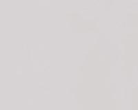 купить A.S.Creation Spot 3 3032-57