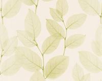 купить A.S.Creation X-Ray 34247-4