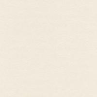 купить P+S International Tresor 42040-10