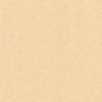 купить Sandudd Hopealehti 4879-5