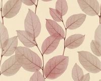 купить A.S.Creation X-Ray 34247-3