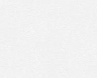 купить A.S.Creation Maistervlies 2020 24871-8