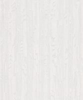 купить Rasch Wallton 2021 103908 (103946)