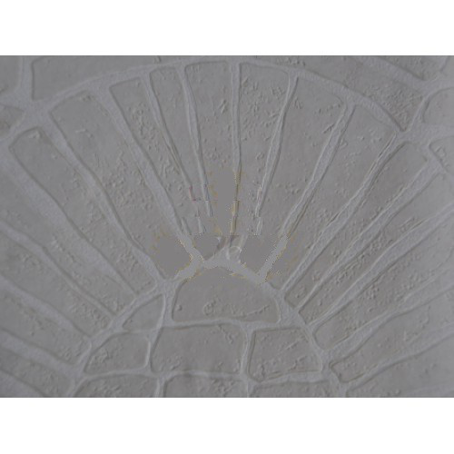 купить Rasch Tiles & More 814019