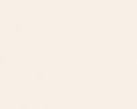 купить A.S.Creation Esprit 6 221537