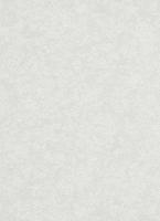 купить Erismann Cassinia 5210-10 купить Erismann Cassinia 5210-10