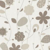 купить P+S International Delight 03884-50