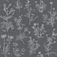 купить Rasch Freja 897456 купить Rasch Freja 897456