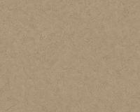 купить A.S.Creation Titanium 3153-42