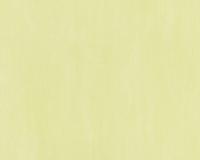 купить A.S.Creation Esprit 8 933942