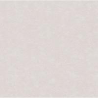 купить Rasch Maximum XII 926958