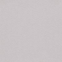 купить Rasch Cosmopolitan 576023