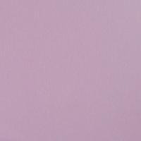 купить BN International La Vie En Rose 46352