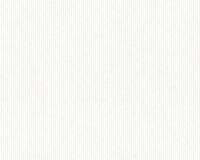 купить A.S.Creation Maistervlies 2020 35456-1