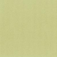 купить P+S International Tresor 42042-80