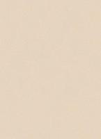 купить Erismann City Glam 5958-25