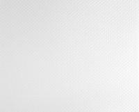 купить A.S.Creation Meistervlies Pro 2 164919