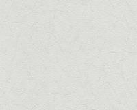 купить A.S.Creation Maistervlies 2020 57121-2