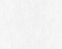 купить A.S.Creation White & Colours 506825