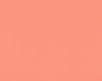 купить A.S.Creation Esprit 11 30280-6