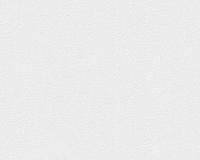 купить A.S.Creation Meistervlies Protect 2 249814