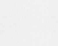 купить A.S.Creation Meistervlies Protect 2 241511