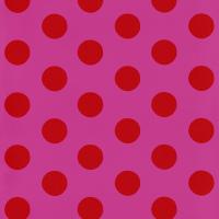 купить P+S International Die Maus 05213-20