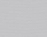 купить A.S.Creation Esprit 13 35755-7