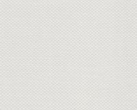 купить A.S.Creation Maistervlies 2020 16491-9