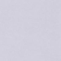 купить Rasch Fiducia 424270