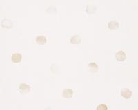 купить A.S.Creation ESPRIT Kids 3 941342