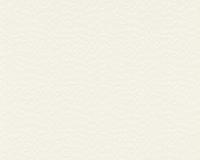 купить A.S.Creation Schoner Wohnen 9 32457-3