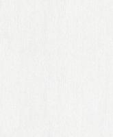 купить Rasch Modern Surfaces 701159