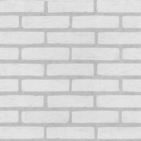 купить P+S International Profiwall 13043-14