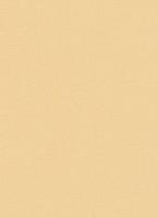 купить Erismann Prime Time 7352-20