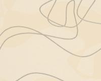 купить A.S.Creation Evelin 298812