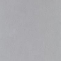 купить Rasch African Queen 2014 422313