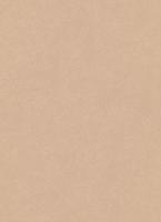 купить Erismann City Glam 5958-49